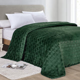 Ultra-Soft Lightweight All-Season Embossed Microplush Blanket for Bed & Couch