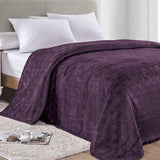 Ultra-Soft Lightweight All-Season Embossed Microplush Blanket for Bed & Couch